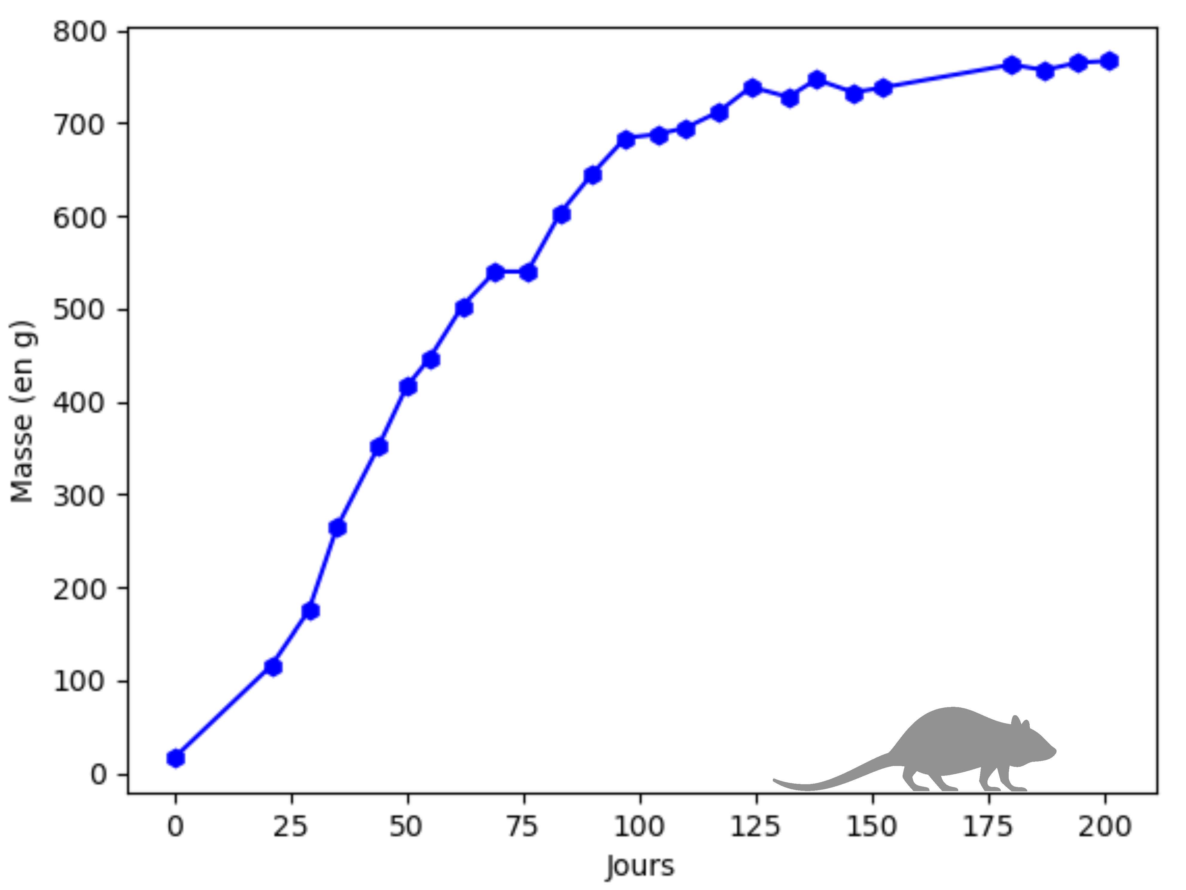 Figure 3: Croissance en masse corporelle (en grammes) du rat musqué en fonction de son âge (en jours).