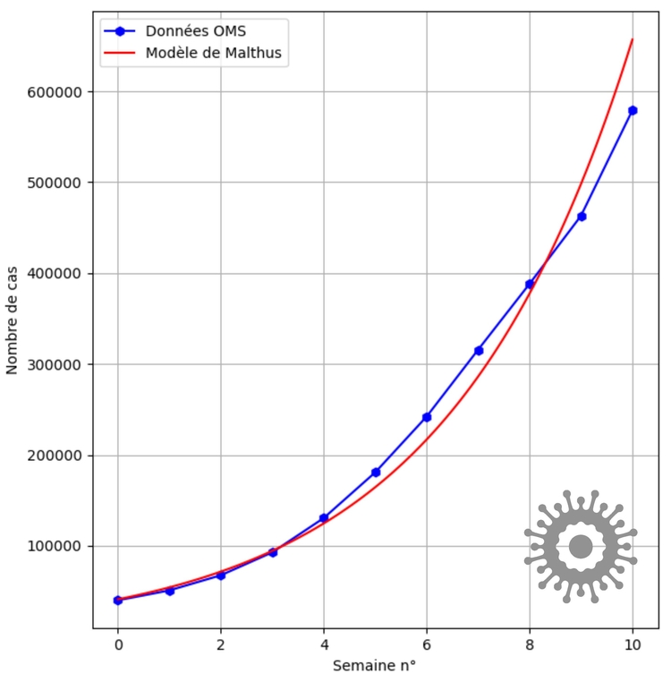 Figure 1 - Nombre de cas cumulés de COVID-19 en France tels que rapportés à l'Organisation Mondiale de la Santé de manière hebdomadaire sur la période entre le 2 août 2020 et le 10 octobre 2020 et fonction exponentielle solution de l'équation de Malthus correspondante.